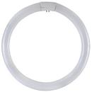 Circolina 3F tubo trisforo 22Watt