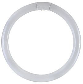 Circolina 3F tubo trisforo 22Watt