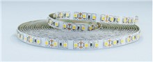 Striscia LED 12V 9.6W/m 6000K IP20