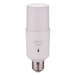 Lampadina LED E27 15Watt con