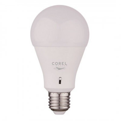 Lampadina LED 15W E27 con