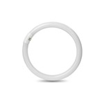Circolina LED 20Watt G10q 1650Lm