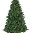 Pino Ontario 150cm verde 288 rami