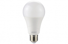 Lampadina led E27 20W 230V 6500K
