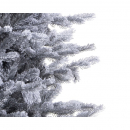 Albero Grandis slim fir frosted