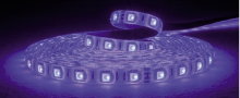 Striscia led 5m IP65 60LED/M 24V