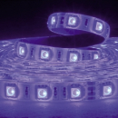 Striscia led 5m IP65 60LED/M 24V