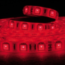 Striscia led 5m IP65 60LED/M 24V