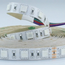 Striscia led 5m IP65 60LED/M 24V