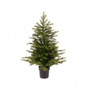 Mini albero verde con vaso h 60cm diametro 44cm